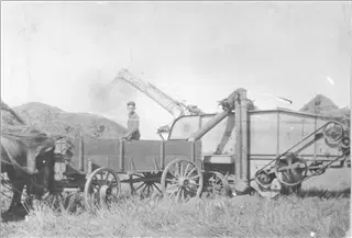 small_harold mccall harvest.webp